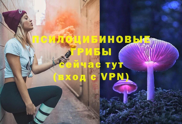 ALPHA PVP Белокуриха