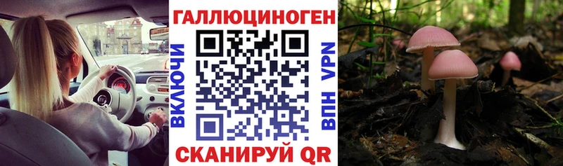 Галлюциногенные грибы Cubensis  blacksprut ссылки  Вятские Поляны 