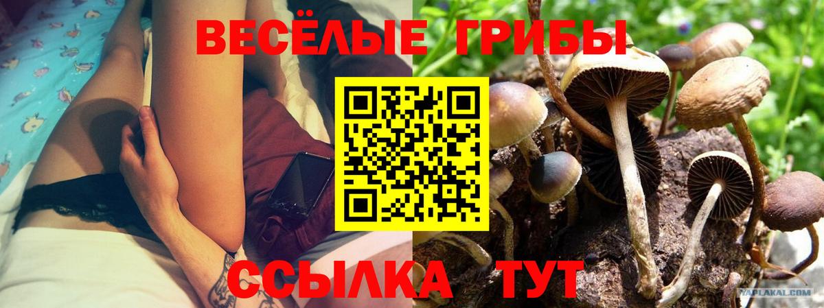 Вятские Поляны  Псилоцибиновые грибы GOLDEN TEACHER  Галлюциногенные грибы мухоморы  Вход с VPN 